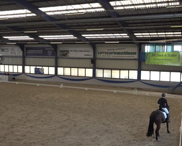 Reitturnier Buchs ZH 2025