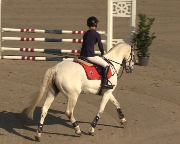 Reitturnier Scharnebeck 2025