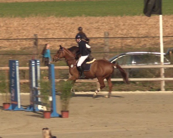 Reitturnier Scharnebeck 2025