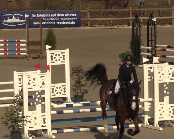 Reitturnier Scharnebeck 2025