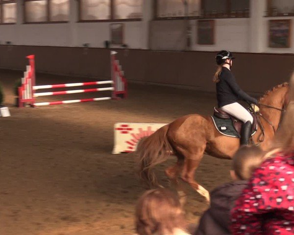 Reitturnier Jühnsdorf 2025