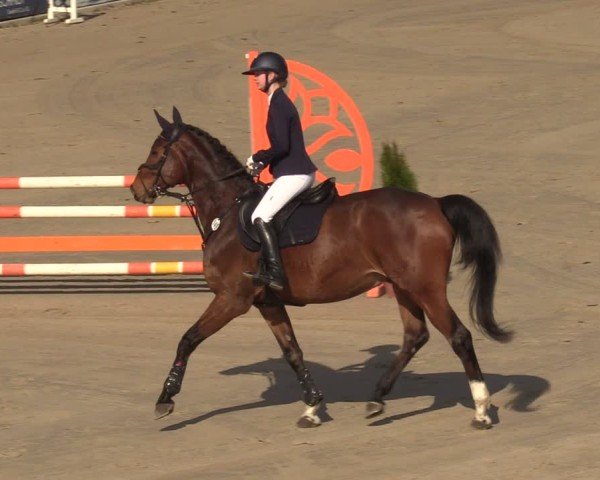 Reitturnier Scharnebeck 2025