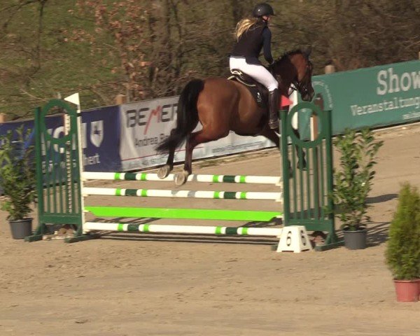 Reitturnier Scharnebeck 2025
