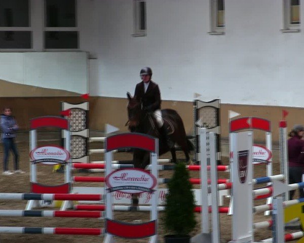 Reitturnier Freudenberg 2025