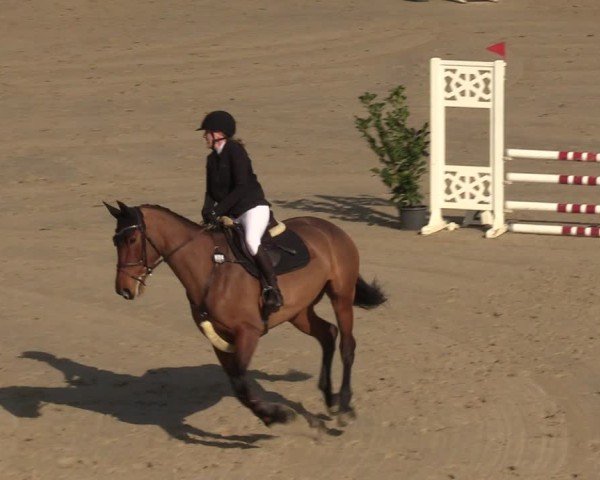 Reitturnier Scharnebeck 2025