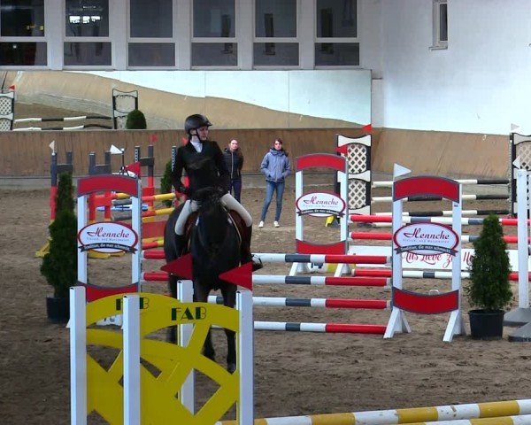 Reitturnier Freudenberg 2025