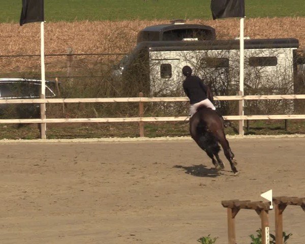 Reitturnier Scharnebeck 2025