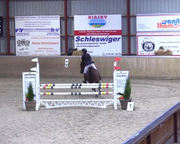 Reitturnier Behrendorf 2025