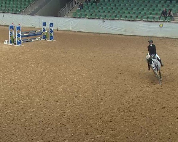 Reitturnier Kreuth 2025