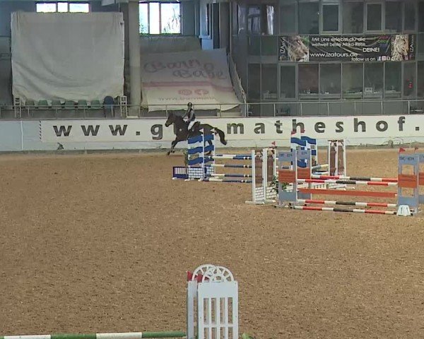 Reitturnier Kreuth 2025