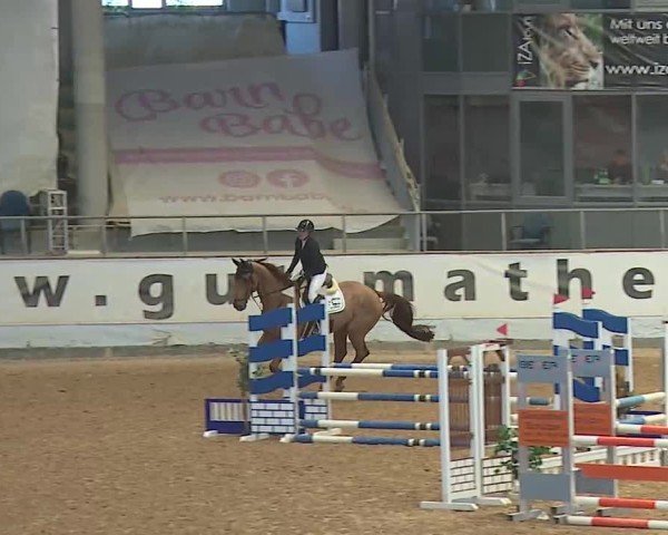 Reitturnier Kreuth 2025