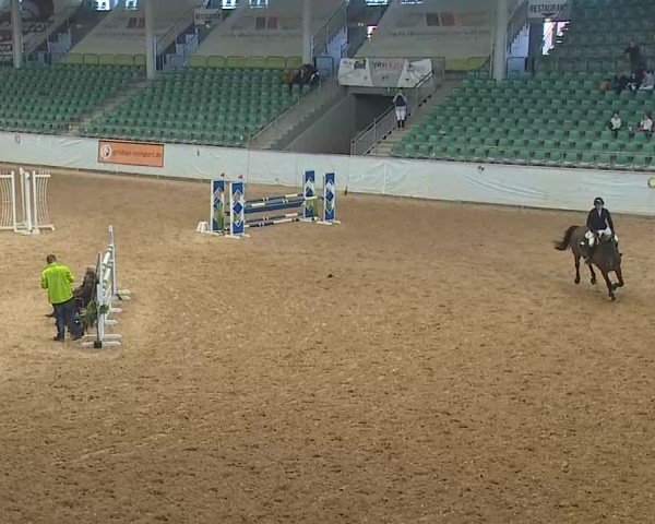 Reitturnier Kreuth 2025