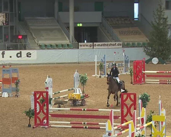 Reitturnier Kreuth 2025