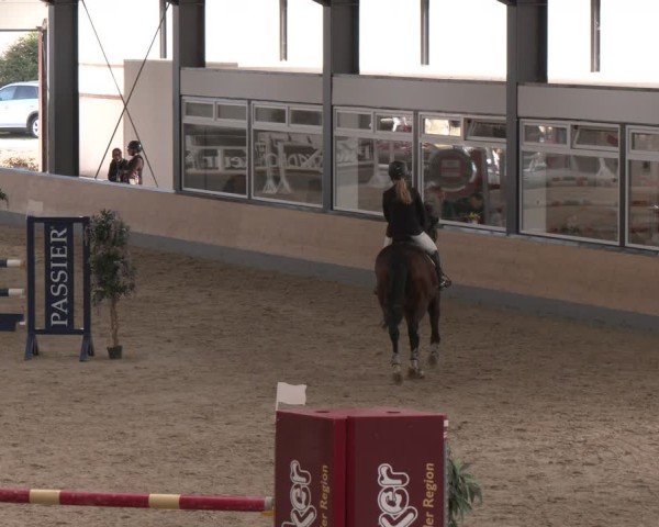 Reitturnier Borken (Hessen) 2025