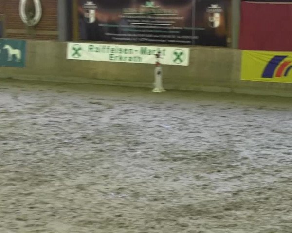 Köln-Leverkusen 2013