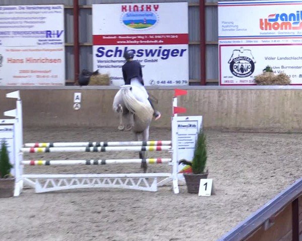 Reitturnier Behrendorf 2025