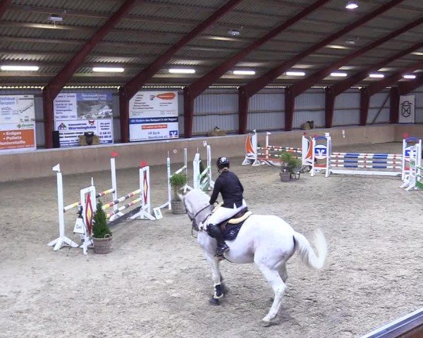 Reitturnier Behrendorf 2025