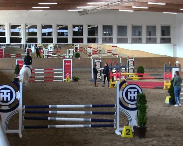 Reitturnier Freudenberg 2025