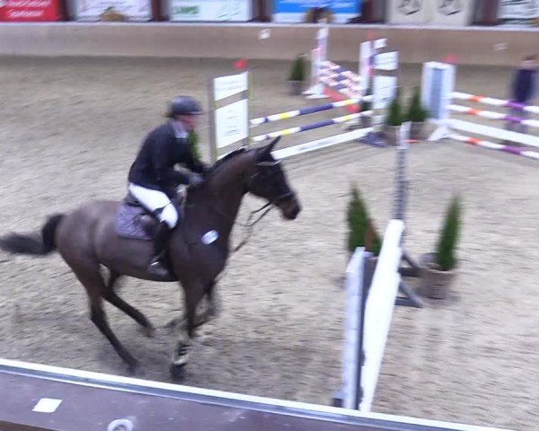 Reitturnier Behrendorf 2025