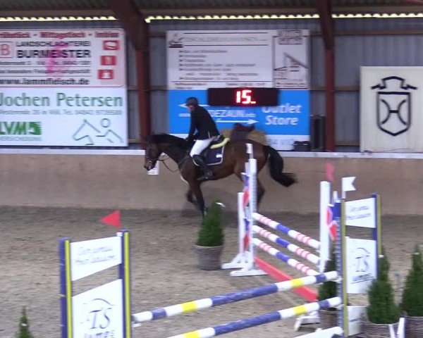 Reitturnier Behrendorf 2025