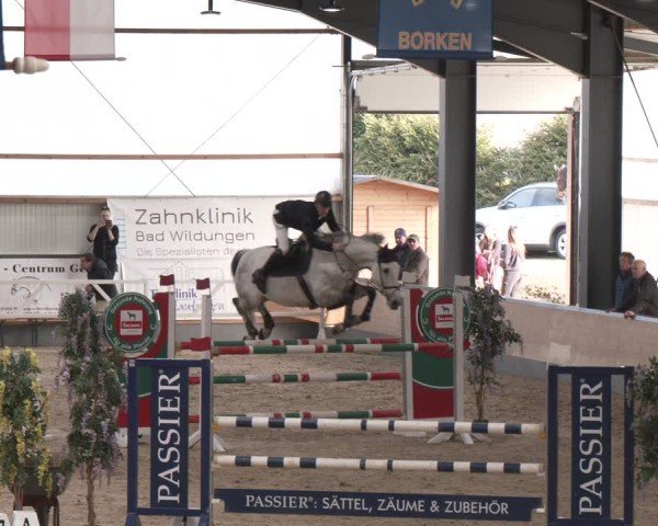 Reitturnier Borken (Hessen) 2025