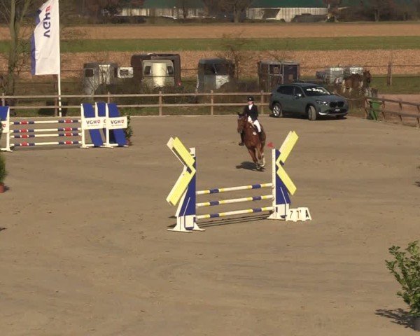 Reitturnier Scharnebeck 2025
