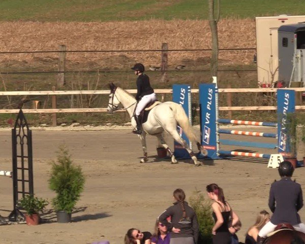 Reitturnier Scharnebeck 2025