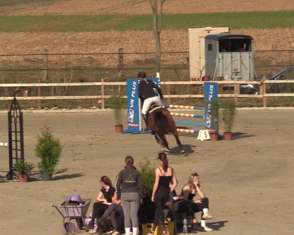 Reitturnier Scharnebeck 2025