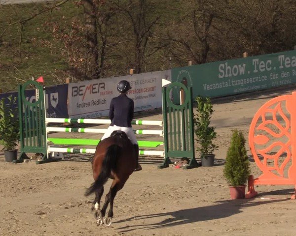 Reitturnier Scharnebeck 2025