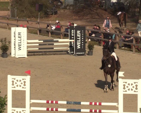 Reitturnier Scharnebeck 2025