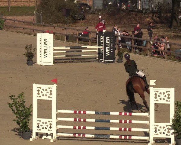 Reitturnier Scharnebeck 2025