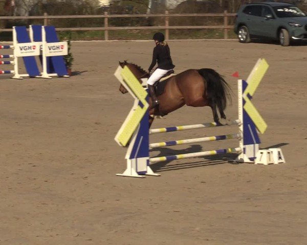 Reitturnier Scharnebeck 2025