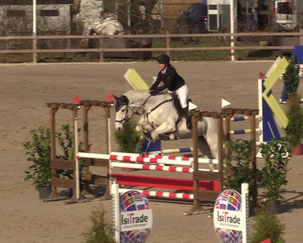 Reitturnier Scharnebeck 2025