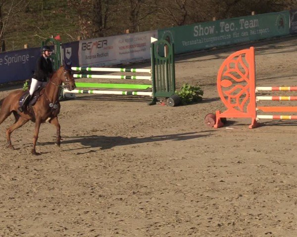 Reitturnier Scharnebeck 2025