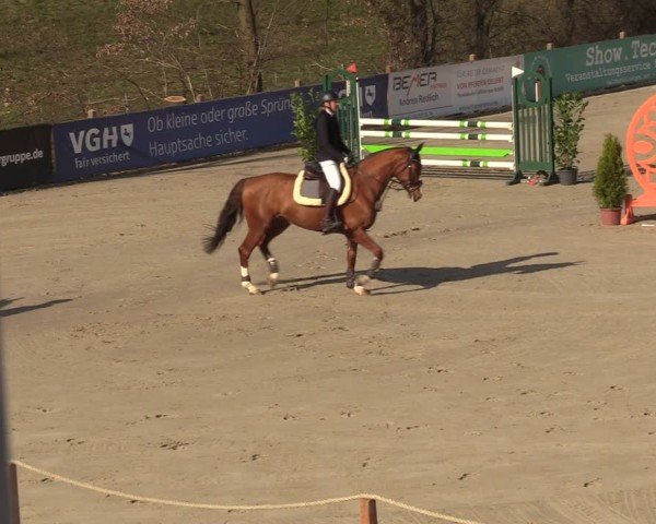 Reitturnier Scharnebeck 2025