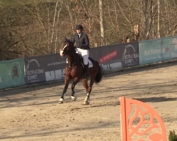Reitturnier Scharnebeck 2025