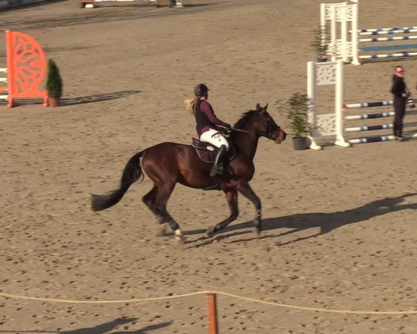 Reitturnier Scharnebeck 2025