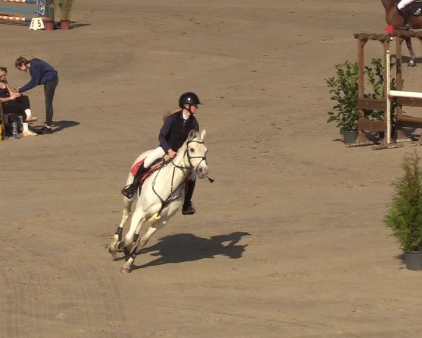 Reitturnier Scharnebeck 2025