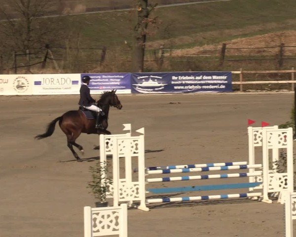 Reitturnier Scharnebeck 2025