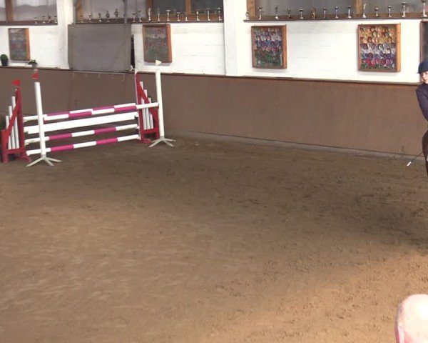 Reitturnier Jühnsdorf 2025