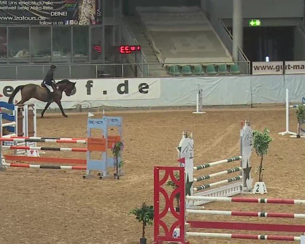Reitturnier Kreuth 2025