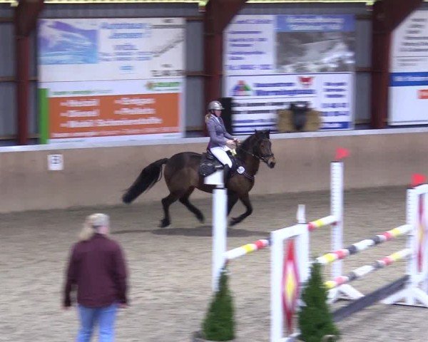 Reitturnier Behrendorf 2025