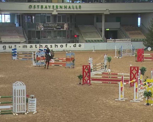 Reitturnier Kreuth 2025