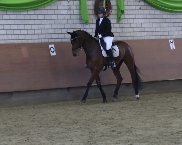 Reitturnier Hellefeld 2025