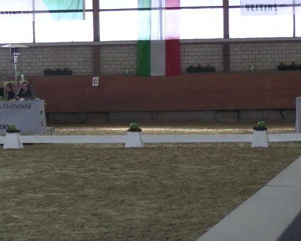 Reitturnier Hellefeld 2025