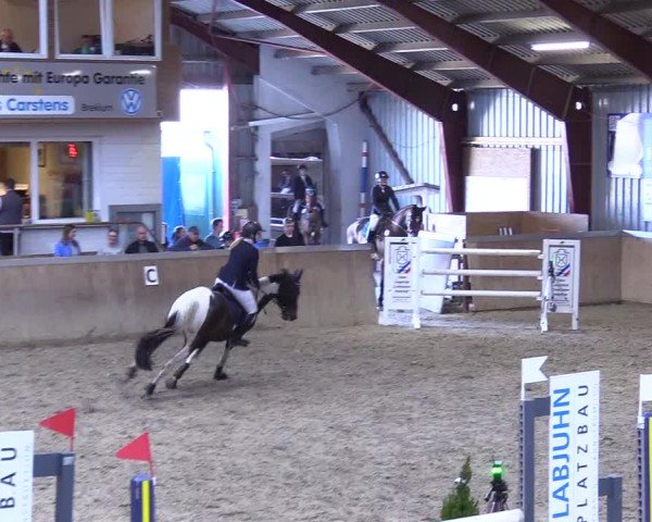 Reitturnier Behrendorf 2025