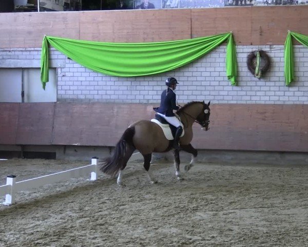 Reitturnier Hellefeld 2025