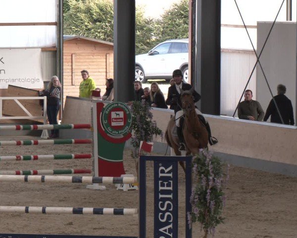 Reitturnier Borken (Hessen) 2025