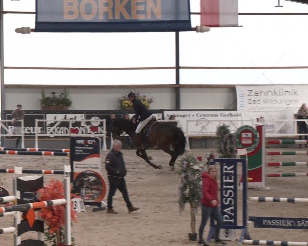 Reitturnier Borken (Hessen) 2025