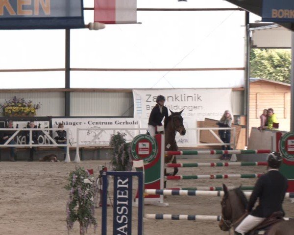 Reitturnier Borken (Hessen) 2025